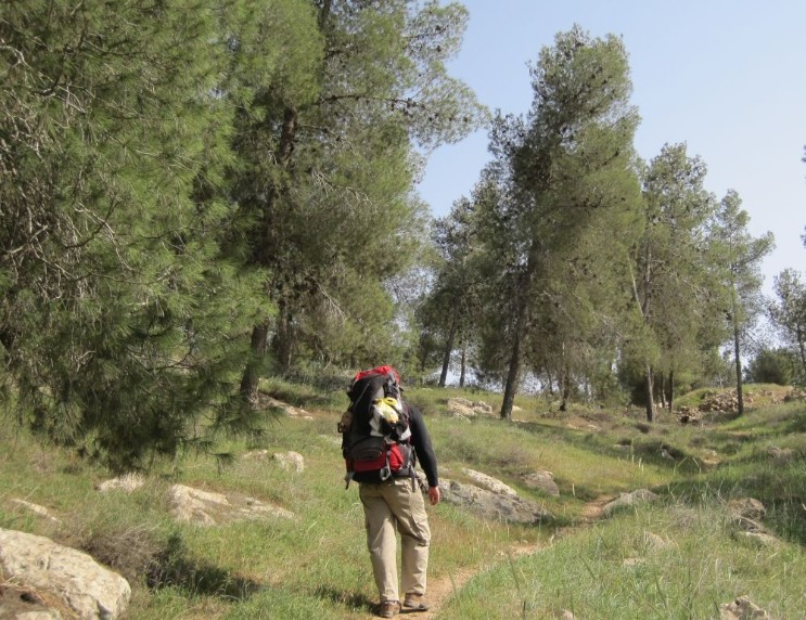 Don on trail in east Lahav Forest