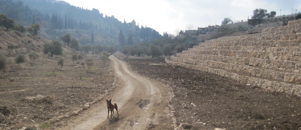 Path in the Kidron  valley on the south of the old ciy of Jerusalem