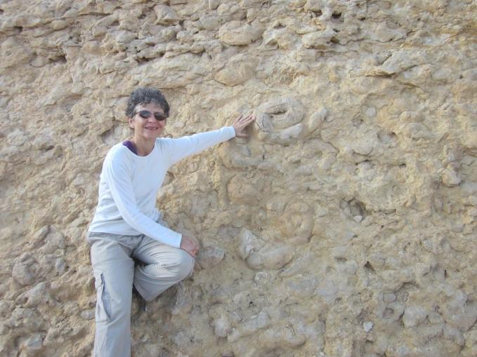 Diana in front of wall of fossil ammonites