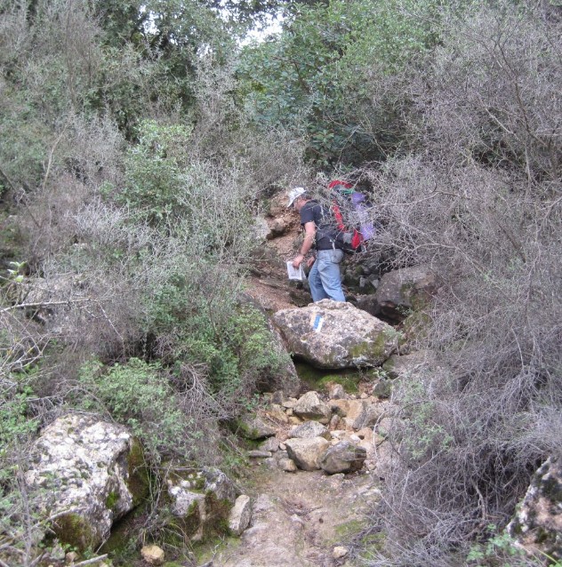 Up the steep path to EIn Kobi from Nachal Rafaim
