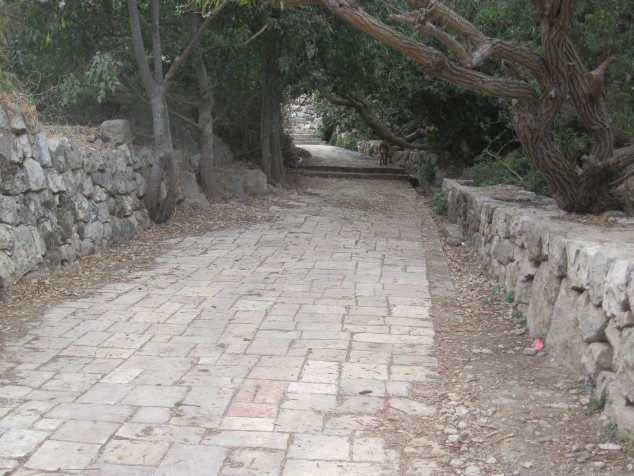 paved road leading out of Lifta to Spring