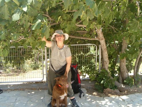 Diana and Taffy under a Fig Tree
