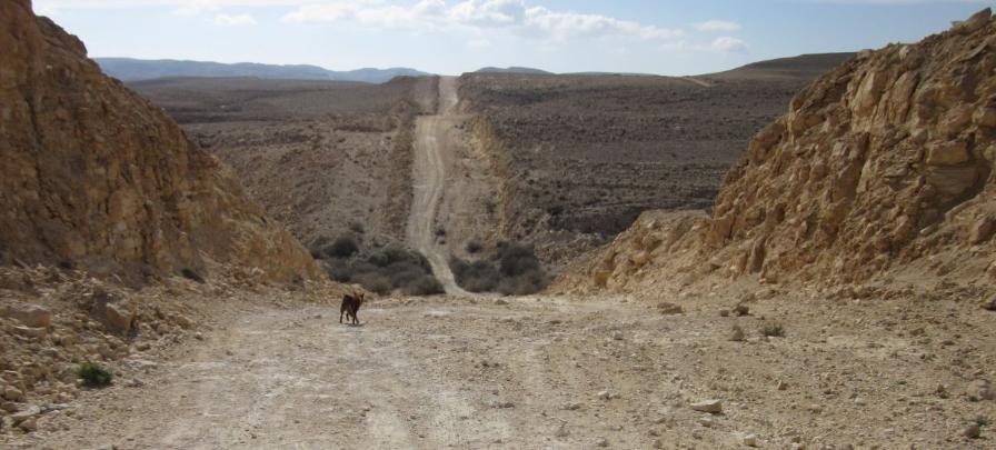 Dirt road along the Ashkelon Eilat Oil Pipeling