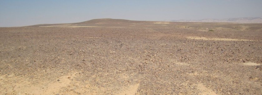 Flat desolation.  No shade, no water, no nothing
