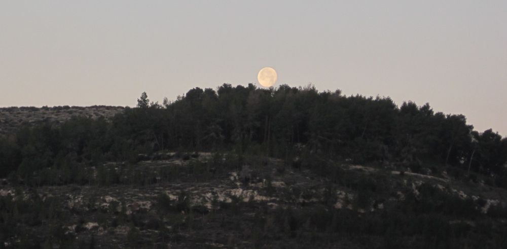 Full moon setting over Tel Azeka
