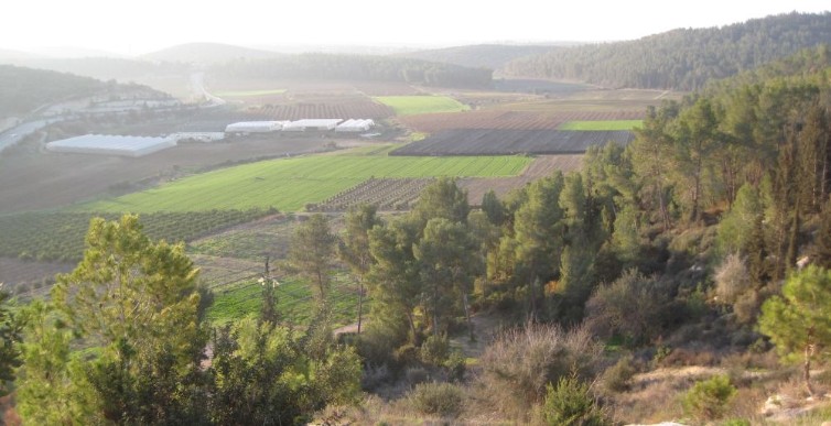 View of Elah valley from half way up Tel Azeka