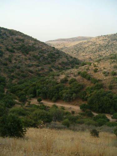 Beginning of Wadi Dishon