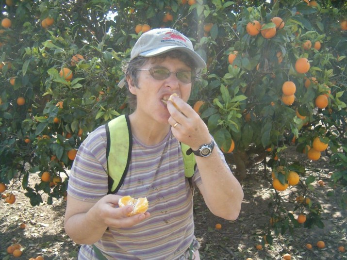 Diana eating orange from orchard of ripe oranges.