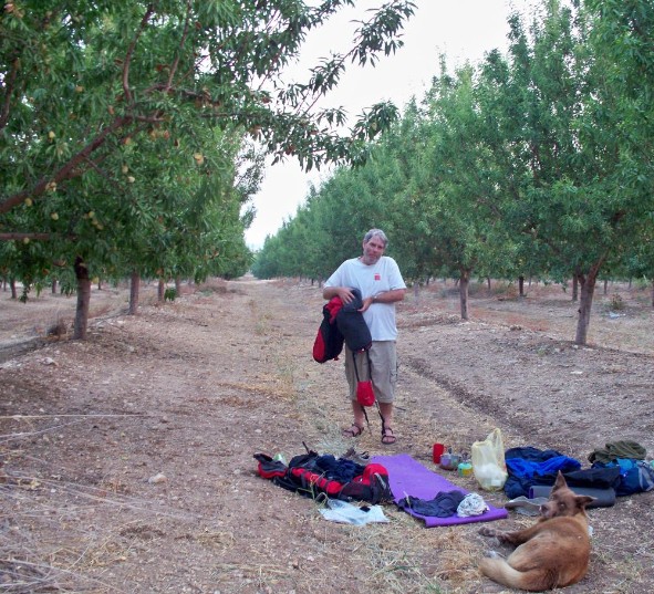 Packing up camp in the almond orchard.