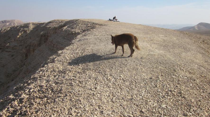 Don in the distance and Taffy on the Negev heights