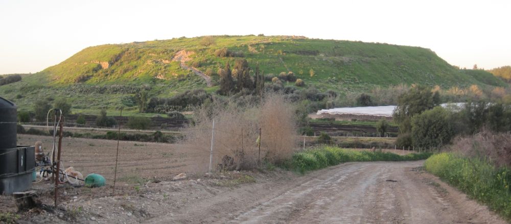 Tel Lachish above the farm