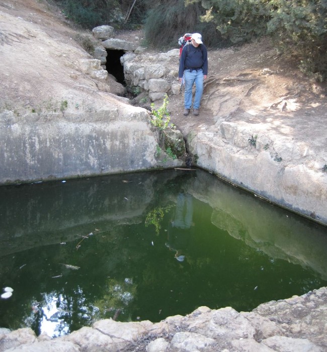 Don near spring with ruins in Aminadav forest