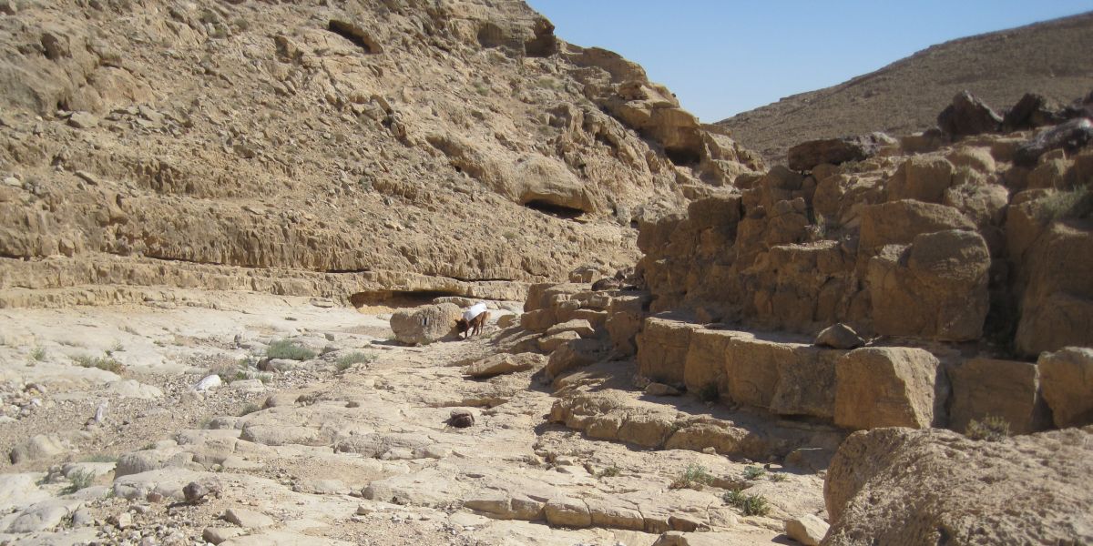 Descending into Wadi Kanfan נחל כנפן