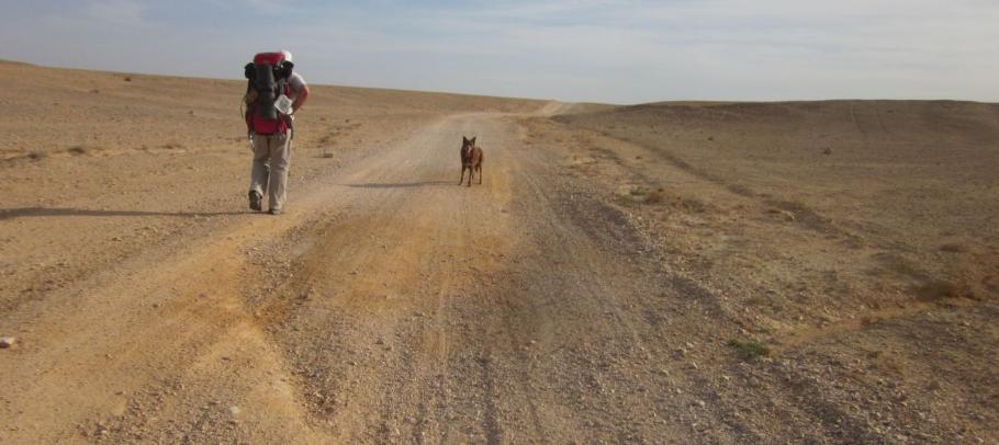 Don and Taffy on the never ending walk