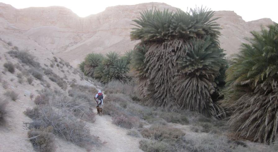 Ein Shaviv in the evening, Don and Taffy ahead