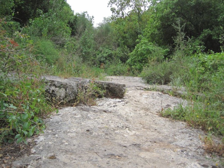 Wadi Bistan on the Blue Trail