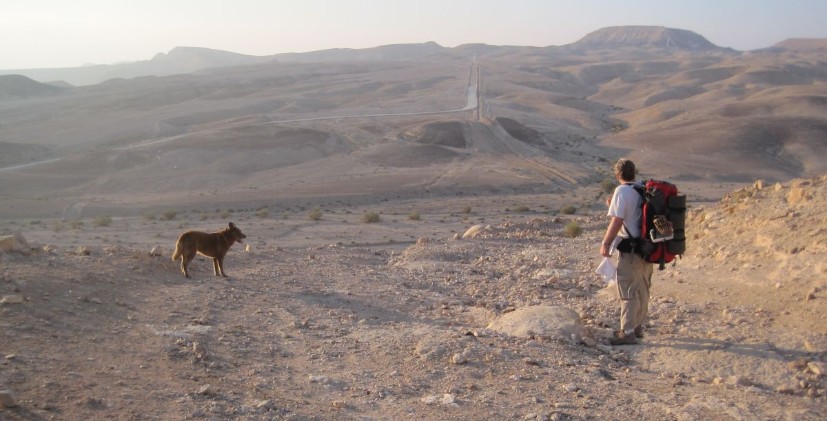 View of the Judean desert from our breakfast spot.