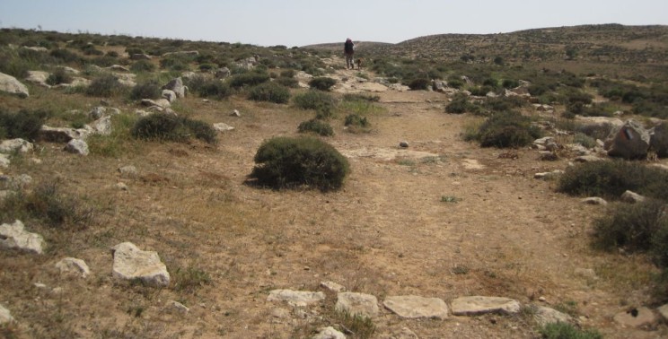 Roman Road east of Yatir Forest