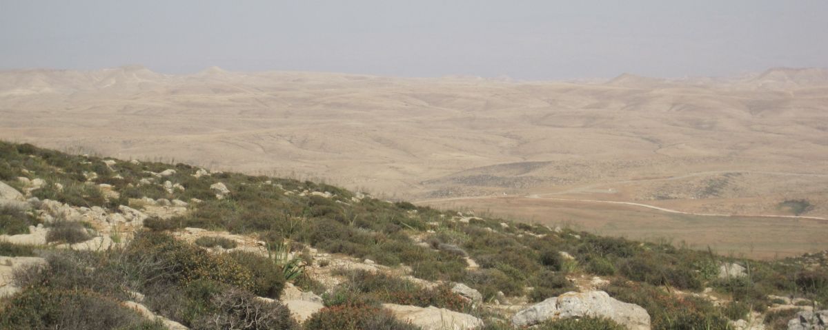 First look at the Judean Desert