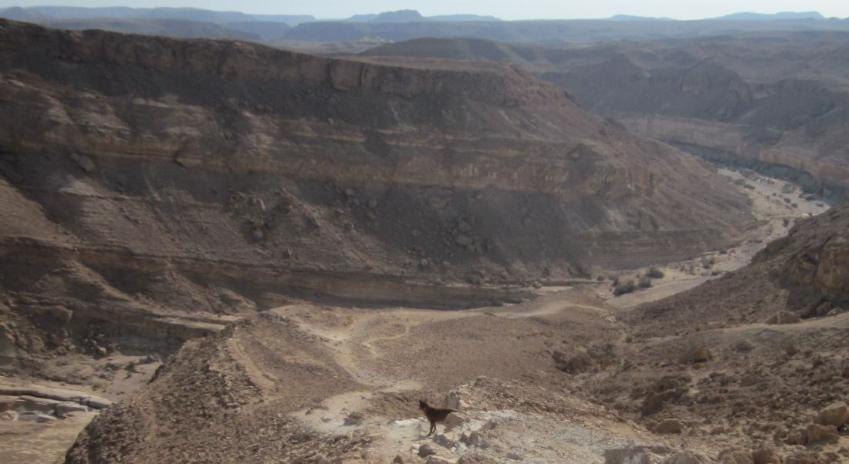 A view of Horseshoe Crevice (פרסת נקרות) 