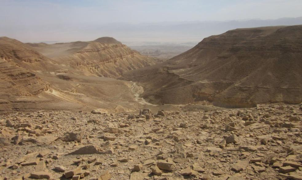 Wilderness with the Arava rift valley in the distance.