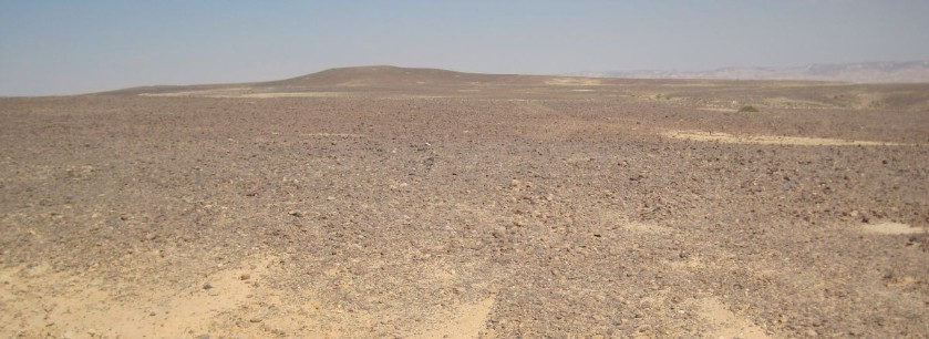 Flat desolation. No shade, no water, no nothing