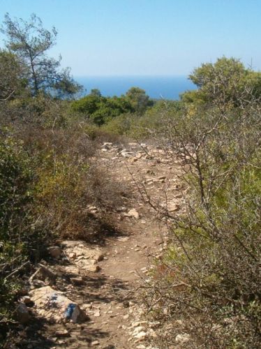 Ridge at the top of the eastern part of the Carmel with the Mediterranean in view