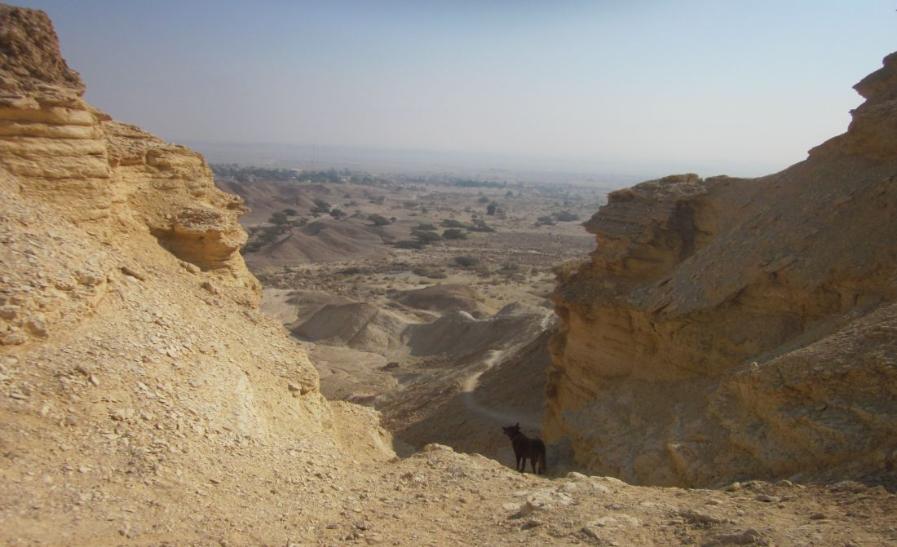 The Arava (African rift valley) 300 meters below sea level