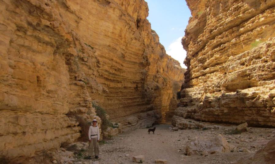 Diana with Taffy in background in Nachal Hava