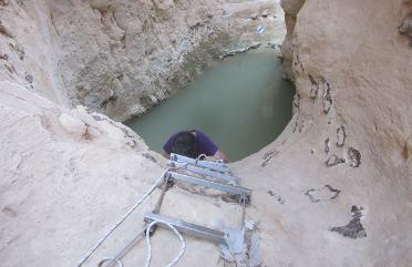 Diana climbing down the ladder into the water