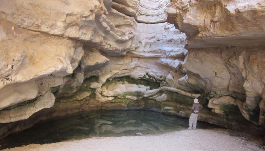 Unnamed spring at the bottom of a dry waterfall in Nachal Hava