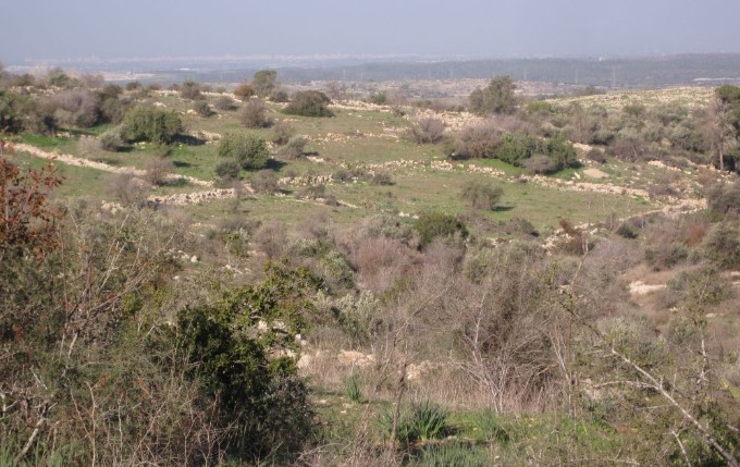View towards the west from the ridge south of Tel Az eka