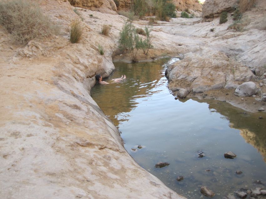 Diana bathing in a lower pool fed by Ein Zafit_עין צפית
