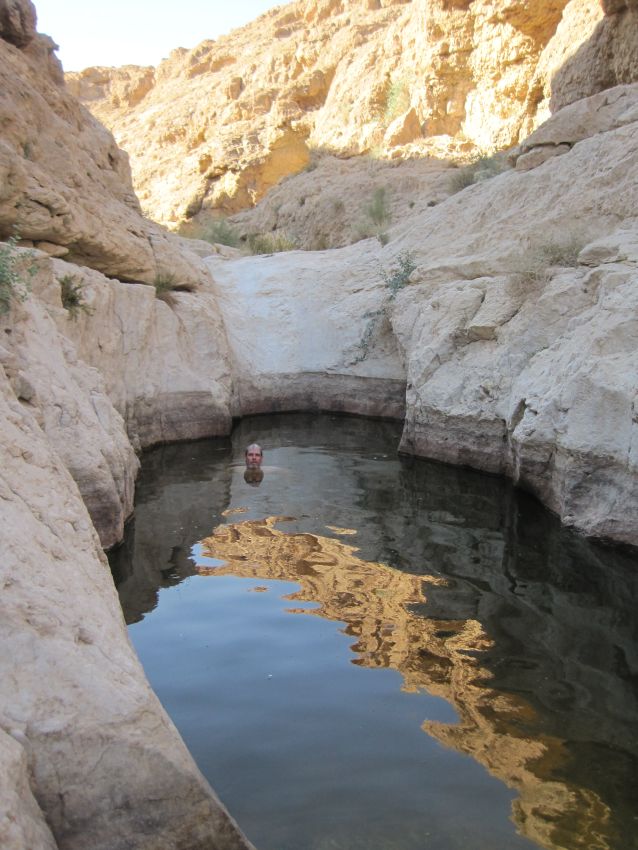 Don in the actual spring of Ein Zafit_עין צפית