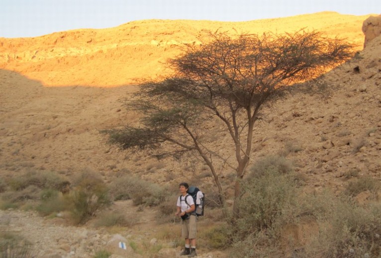 Diana standing by a tree _ climbing out of Nachal zafit נחל צפית