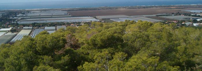 View looking east towards the coastal plain and the Mediterranean