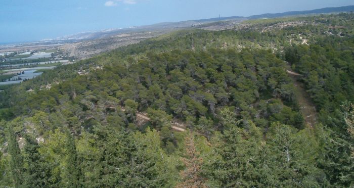 View looking north towards Haifa