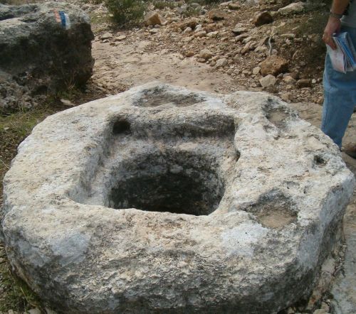 Ancient wine press.