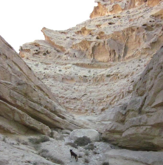 Rocks like melted wax:  Taffy below in Nachal Afran נחל עפרן
