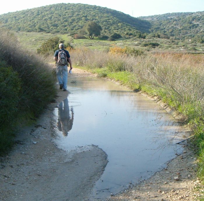 Rain puddle on trail behind Zihron Yaakov 
