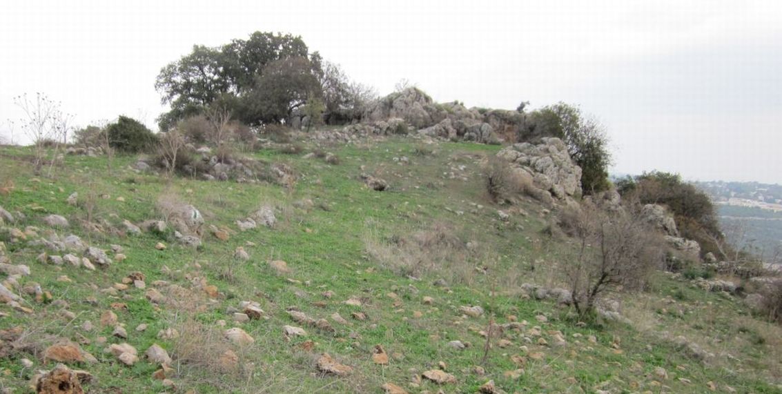 Walls of a ruin, (  חרבת קליעה ) don't know of what.