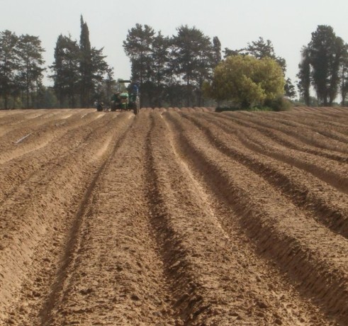 freshly plowed earth