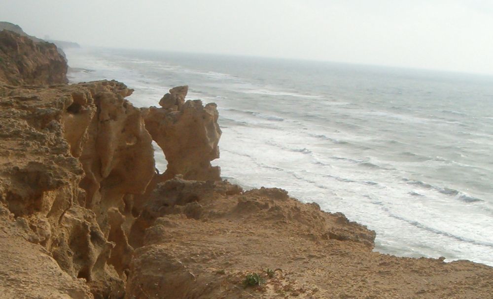 Cliff edge in Sharon National Park, with crack where it will soon fall down.