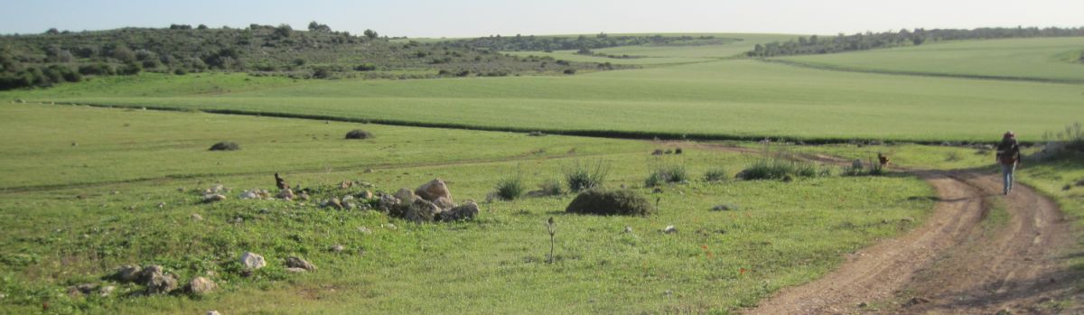 Don walking in the green land