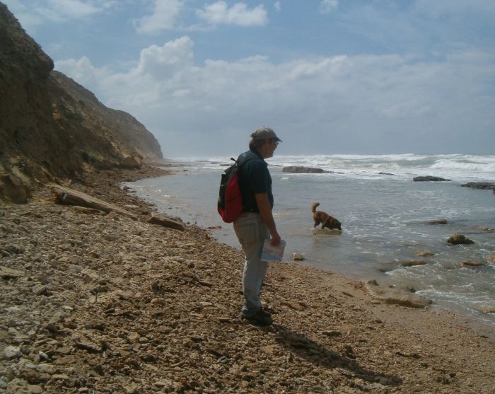 Not much beach because of hight surf and high tides.