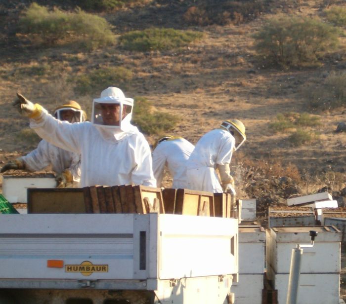 Bee keeper telling us to be careful ahead