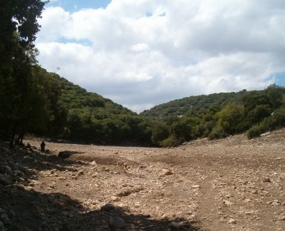 In the valley of the Alonim Nature Reserve.  Nature waiting for rain.