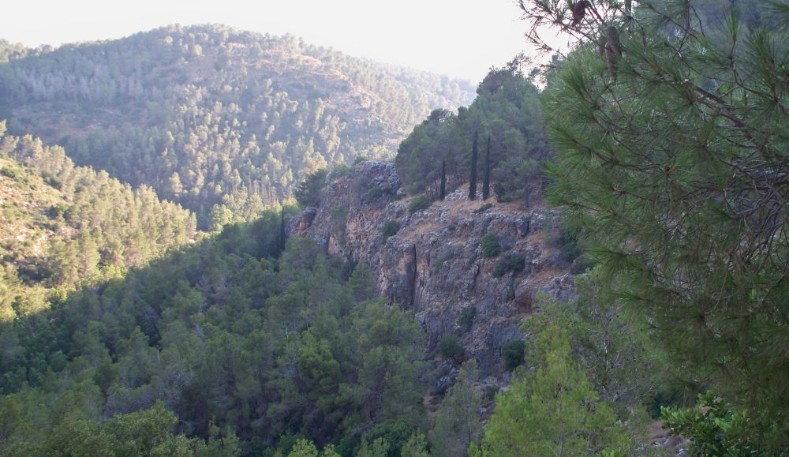 Nachal Ksalon cliffs in Martyr's Forest