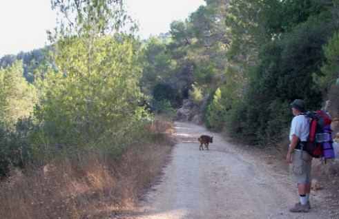 Don and Taffy walking down towards Nachal Ksalon and Martyr's Forest