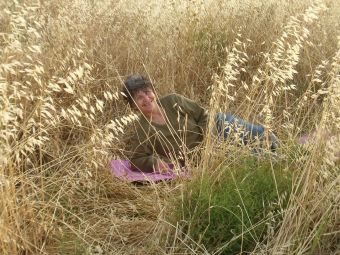 Diana's nest in the wheat